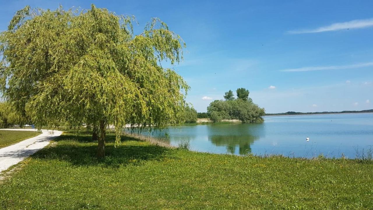 Le Nichoir Lac Du Der Droyes Kültér fotó